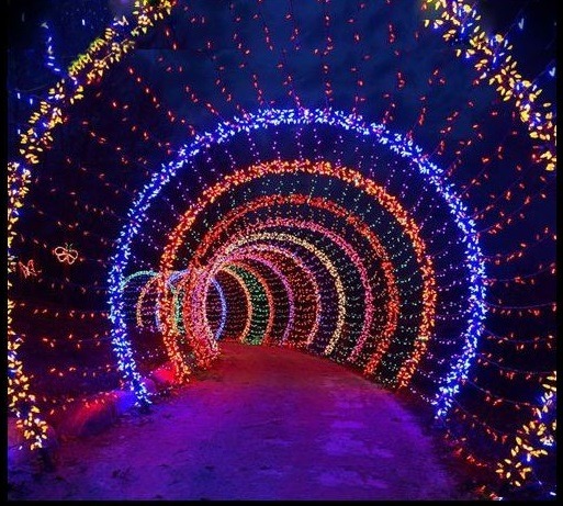 led holiday outdoor light decorations